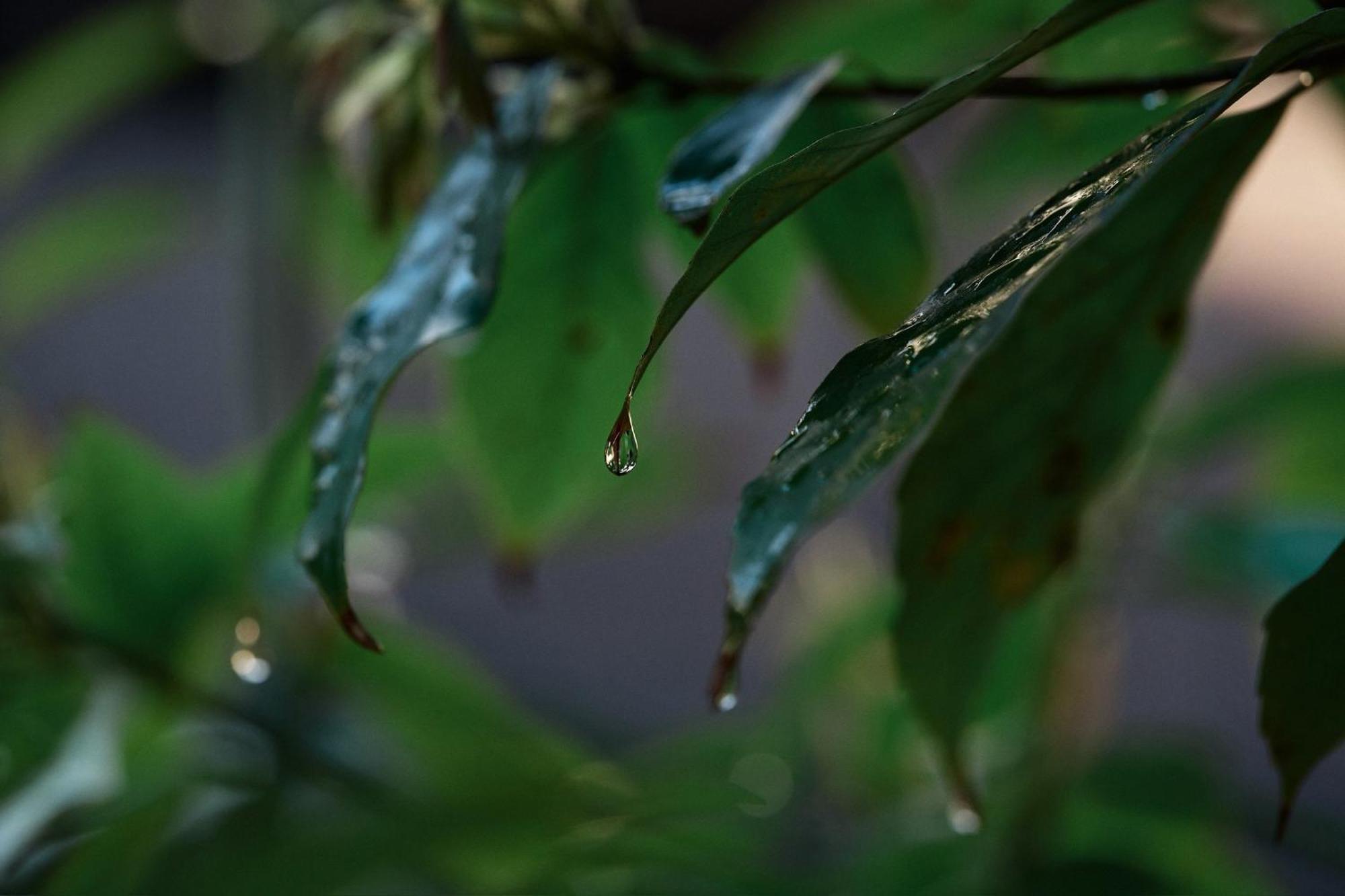 Apartmán Unsui 武雄蓬莱町 雲水 Exteriér fotografie